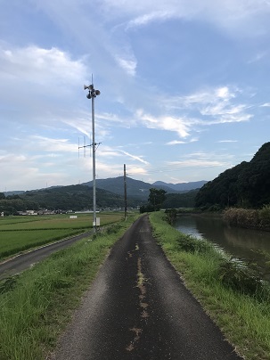 盆明けの彼岸花ロード