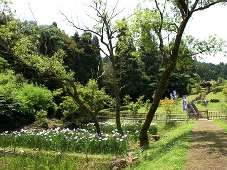 DSC03692