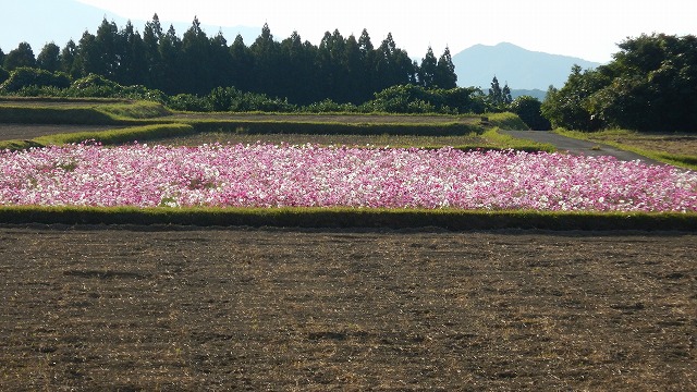 2022山浦 (5)