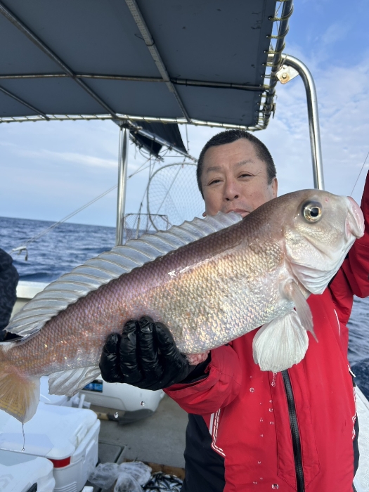 冷凍イワシ、切り身釣り