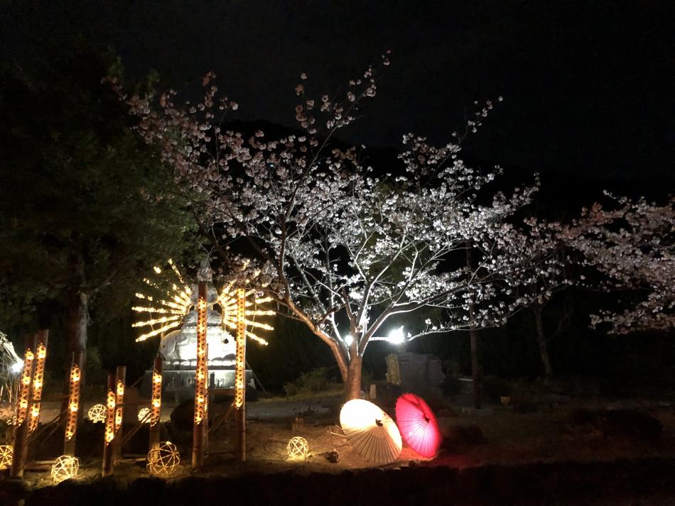 竹あかり