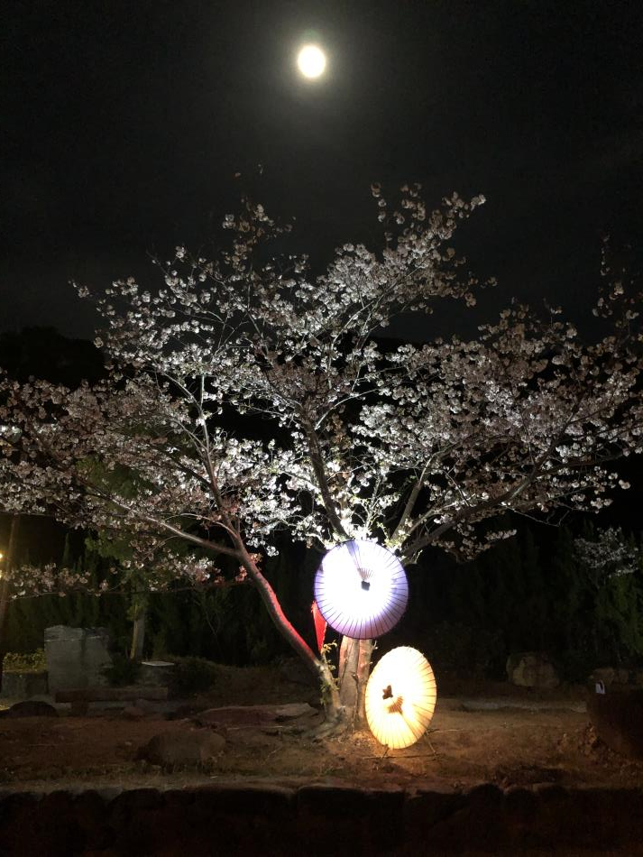 竹あかり