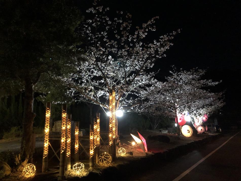 竹あかり