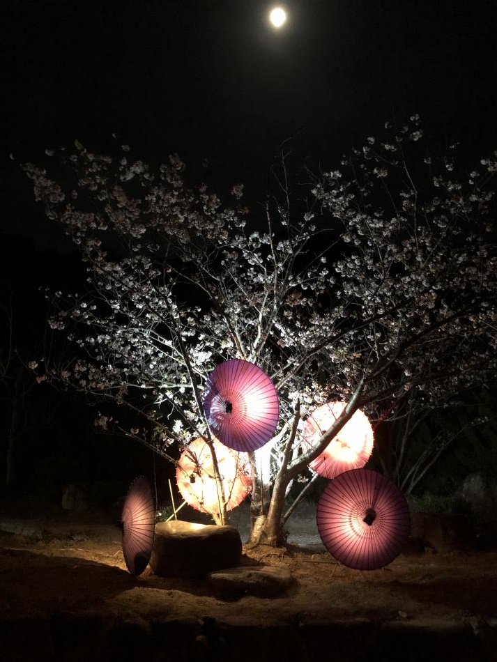 竹あかり