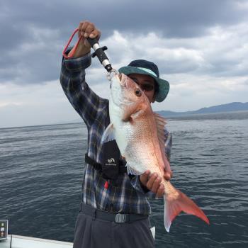 やっと流れ出し