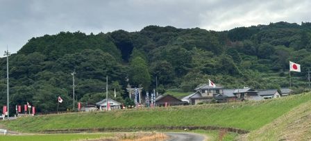 R8彼岸花③