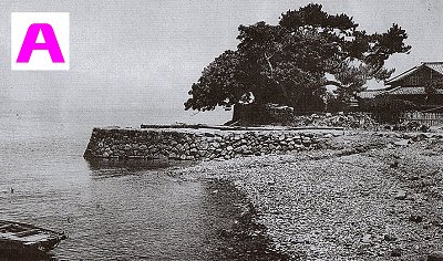 shimago1