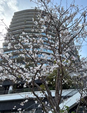 〇〇のついでに・・・