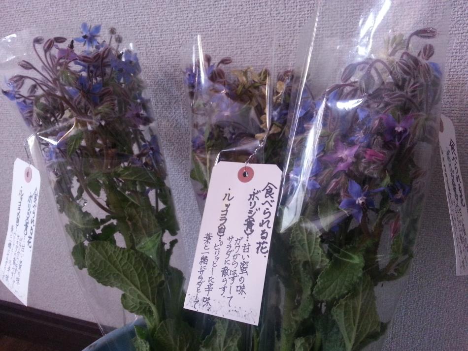 15 4 8 切り花の販売開始 ポリジのワイン 日記 Naturalherb 香草園 ナチュラルハーブ香草園