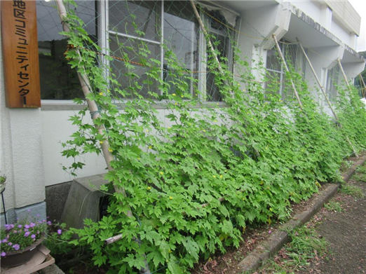 ７月になりました☔