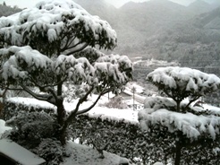 2010雪