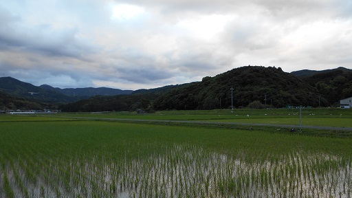 癒し風景　２