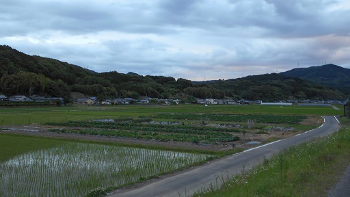 18 6 5 癒しの風景 日記 下津浦地区振興会 下津浦の元気を未来に