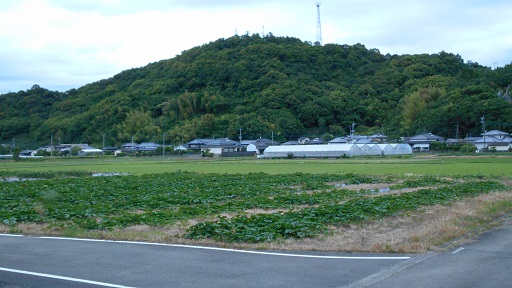 癒し風景　６