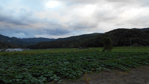 癒し風景　１　