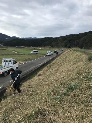 R6春みどり②
