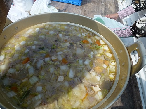 お花見交流会開催＊2026/03/28