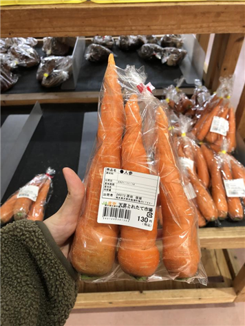 食に関する研修