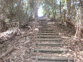 観海アルプス散歩階段