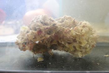 びっくり( ﾟДﾟ)こんなところに！！！