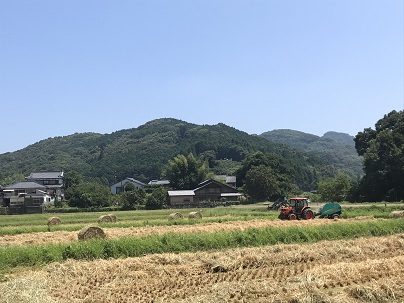 わら