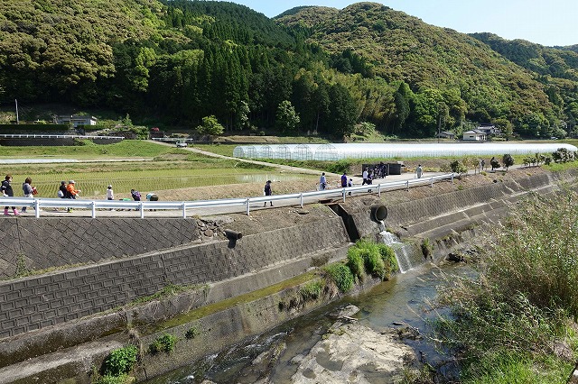 20230423河内川河川清掃 (40)