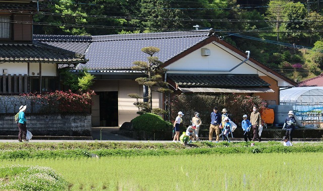 20230423河内川河川清掃 (13)