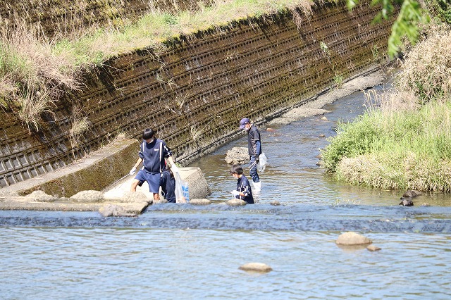 20230423河内川河川清掃 (25)