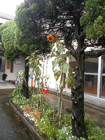 P6300181