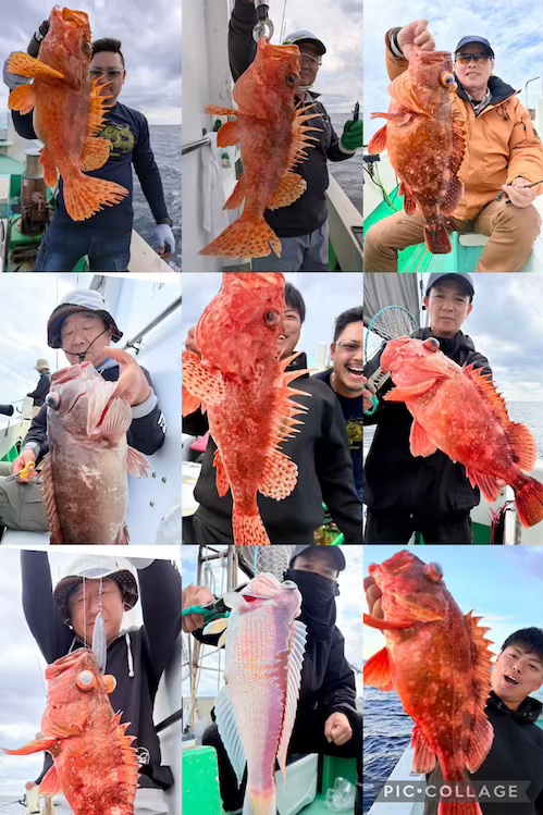 クロムツ