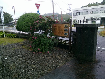 久しぶりの雨（＾＾）
