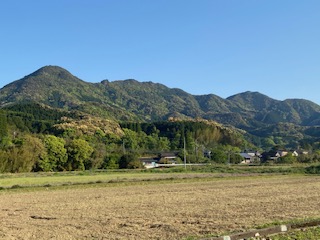 頭岳