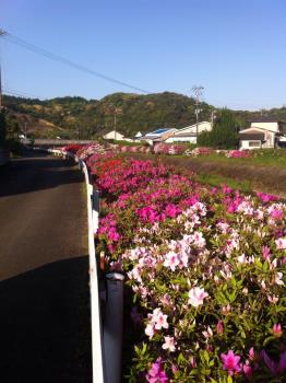 町山口川