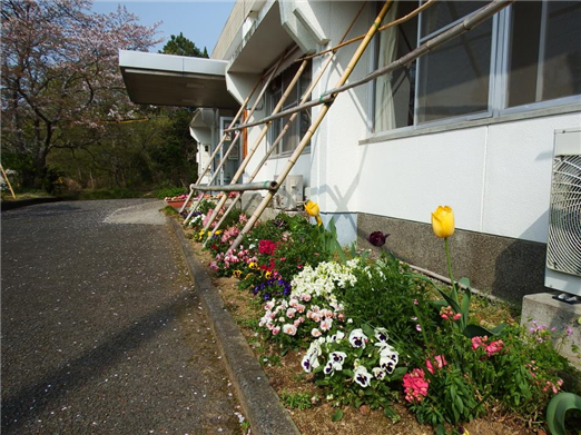 花2