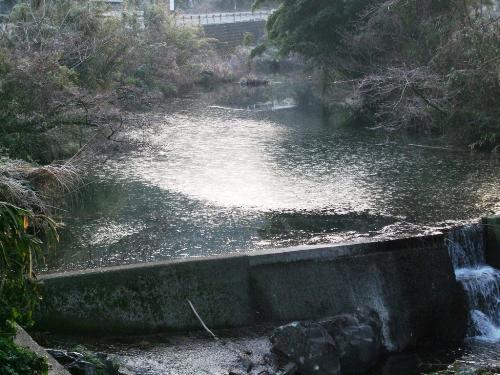 ２月３日の川面の氷