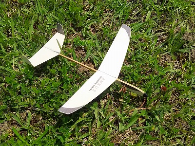 ペーパーグライダーを飛ばそう 1 ベジタブルガーデン記録 ベジタブルガーデン天草 楽しい菜園生活で自給自足