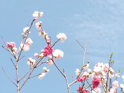年度末、年度初めに向けて