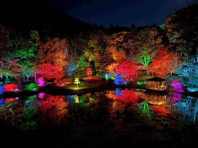 イルミネーション