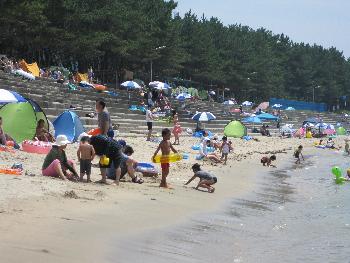 白鶴浜７月２４日