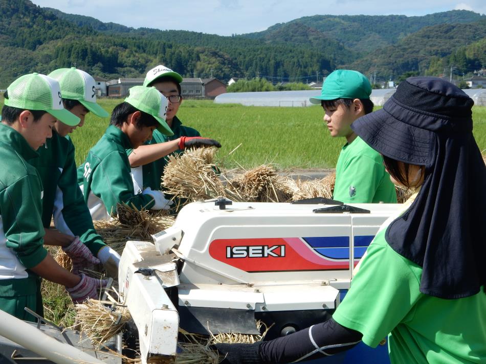 新和中学校【学校田は実りの秋】🌾