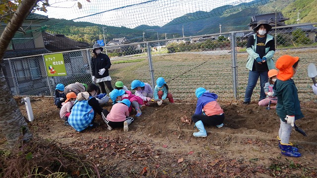 20221025芋ほり体験  (7)