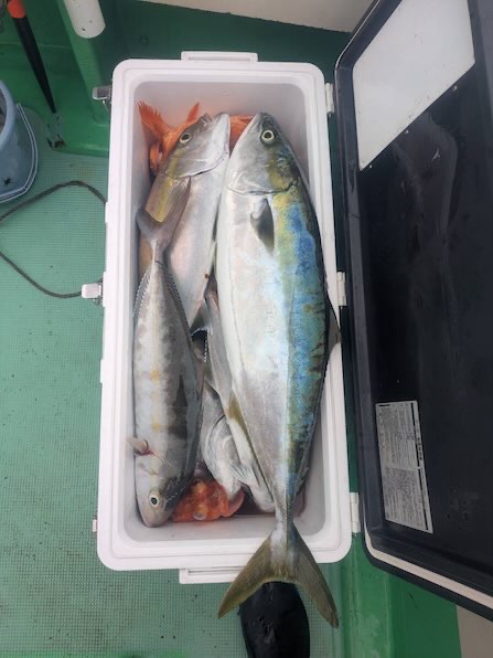 スロージギング