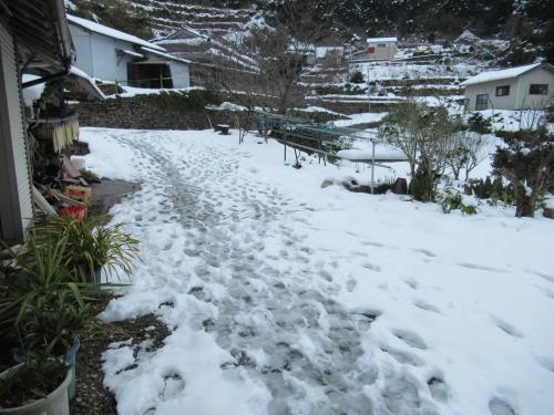 大雪７