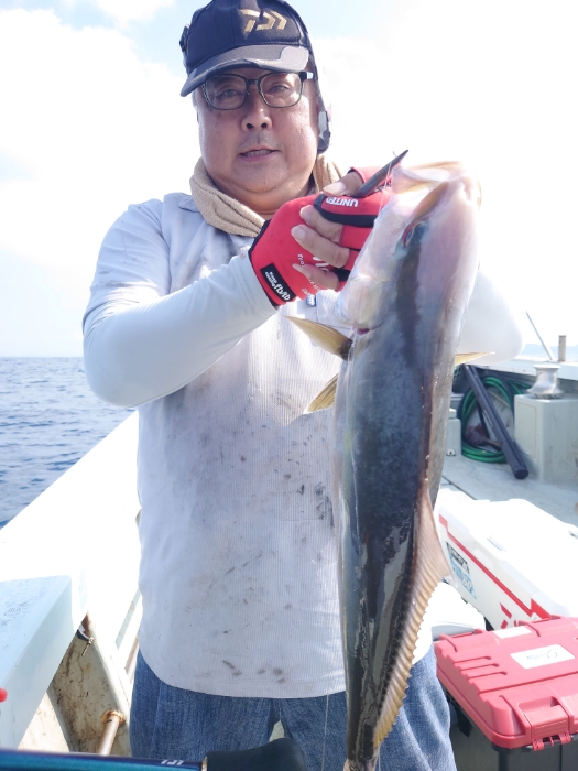 落とし込み釣り