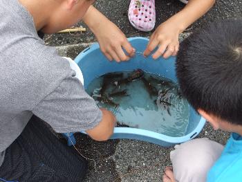 Ｈ２４夏まつり