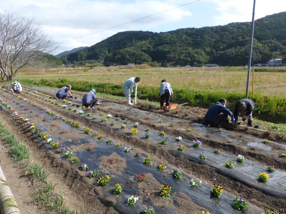 花がいちばん