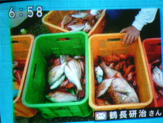 鯛釣り大会05