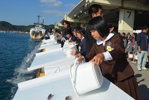 海づくり
