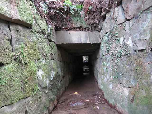 蓮河暗橋