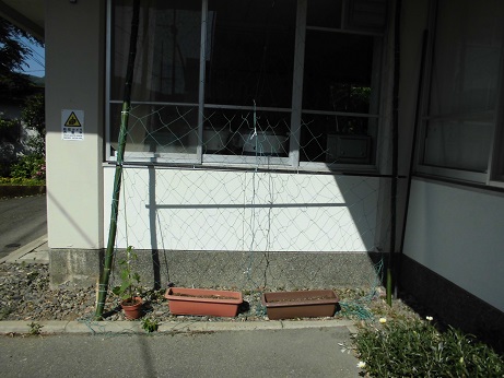 みどりのネット　４
